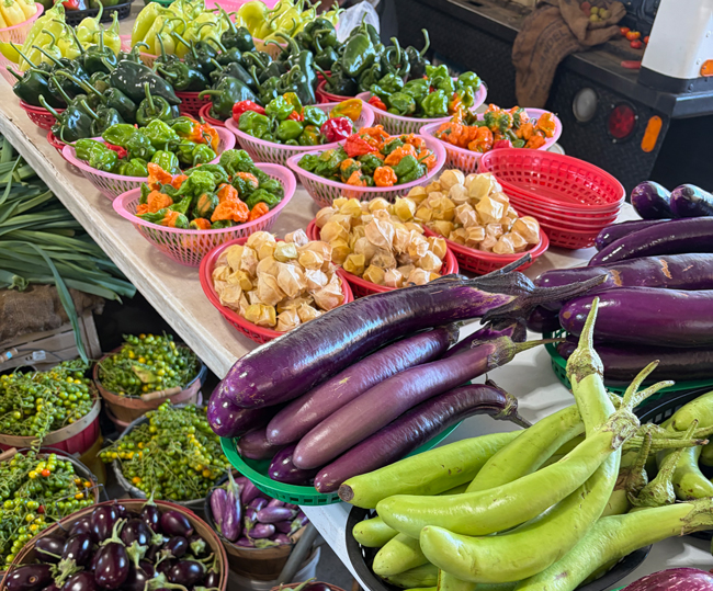 Homegrown Foods meal kit delivery