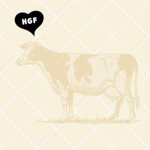 Thick Ribeye with </br>Mushroom Gravy and Cabbage Slaw